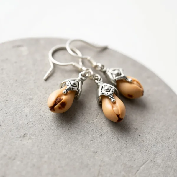 Aretes Artesanales de Semillas y Plata